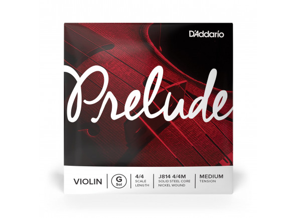 Daddario Corda Violino J814 4/4 M Sol Daddario Corda Violino J814 4/4 M Sol